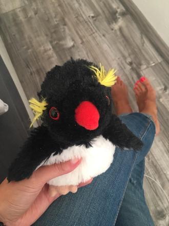 Maly plyšový pinguin, 