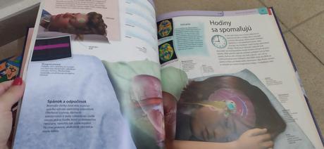 Deň v živote tela, 