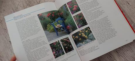 Zahrada vaše radost po cely rok, 