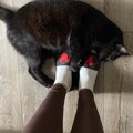 a nepusti ma potvora macaca