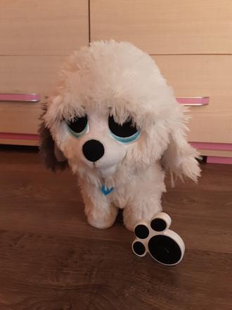 Plyšový psík, 