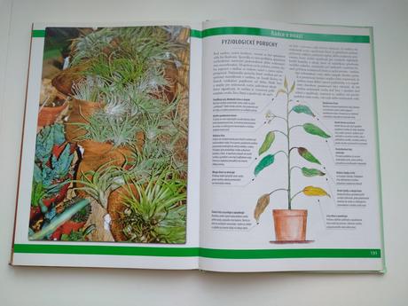 Pestujeme izbové rastliny, 