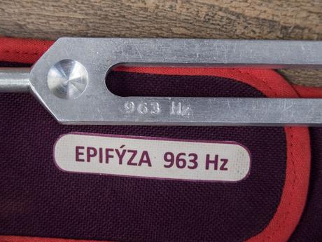 Ladička epifýza,