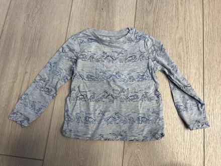 Tričko s dinosaurami, c&a,110