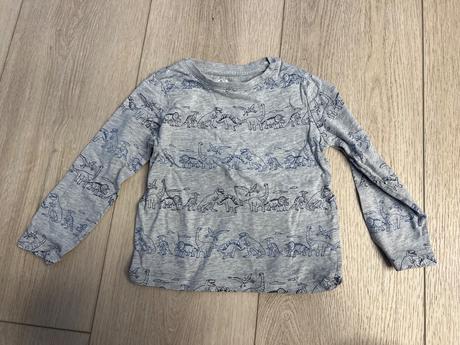 Tričko s dinosaurami, c&a,110