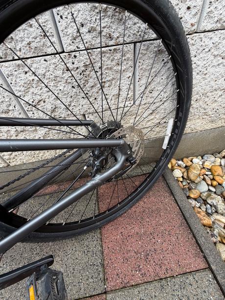 Bicykel, specialized,28