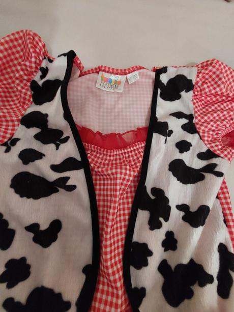 Karnevalové šaty s, 