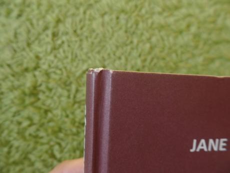 Záblesky nádeje - bradleyová,