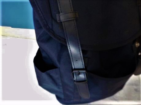 Priestranný rupsak, 