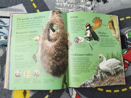 Decká encyklopédia, 