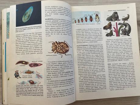 Veľká stará retro kniha od agami po žraloka,