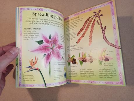 The usborne little book of flowers, 