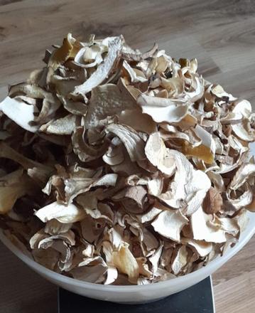 Sušené hríby dubové,