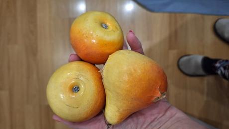 Staré dekoratívne hrusky, 