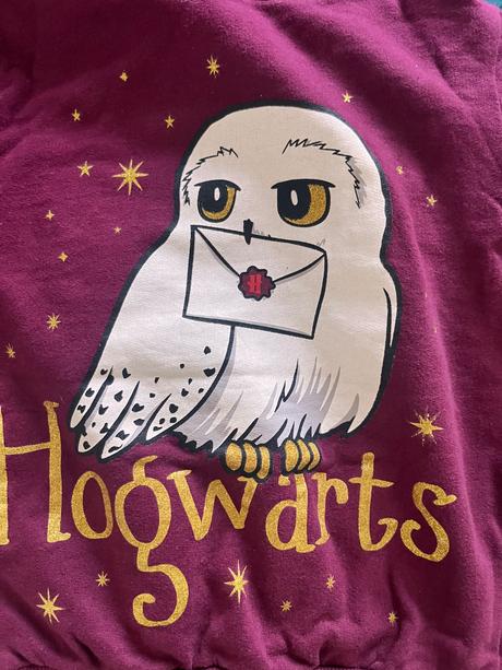 Mikina harry potter, pepco,104