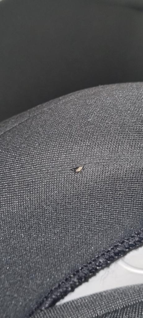 Autosedacka romer, römer