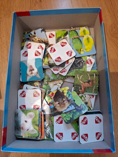 Pexeso (tvrdé dieliky 5x5 cm), 