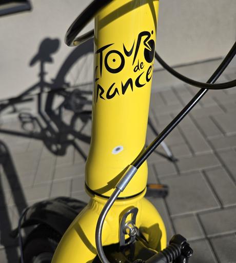 Bicykel frog 78, 26