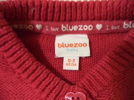 Svetrík, bluezoo,62