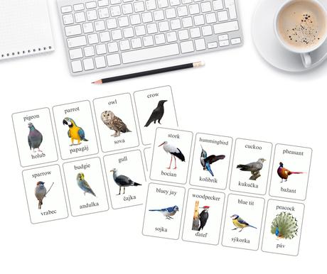 Veľká montessori sada s realistickými obrázkami,