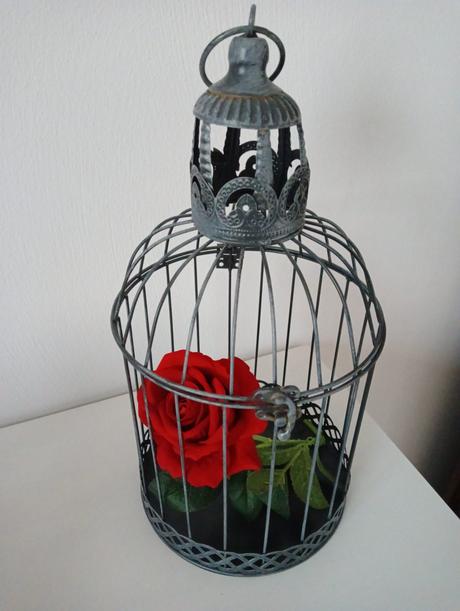 Dekorácie vtáčie klietky, 