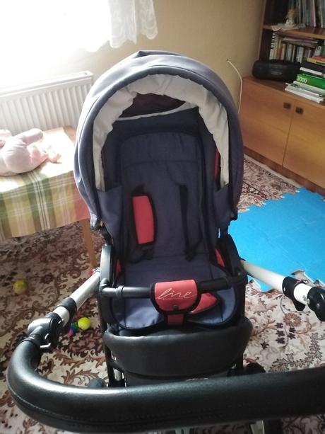 Kocik, bexa,bexa line