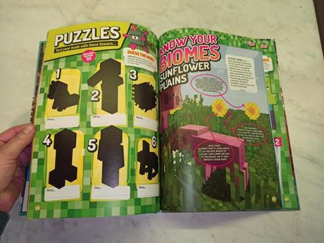 Minecraft 2020 annual, 