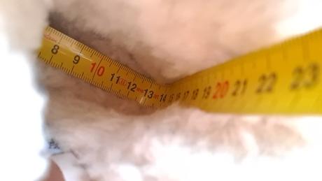 Roberto cavalli dievcenske cizmy v.22, 22