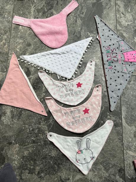 Slintáčiky nakrčníky, 86