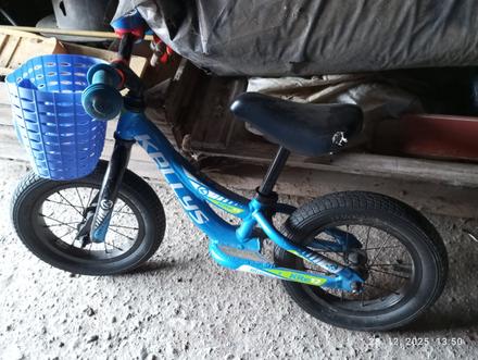 Odrážadlo kellys, kellys