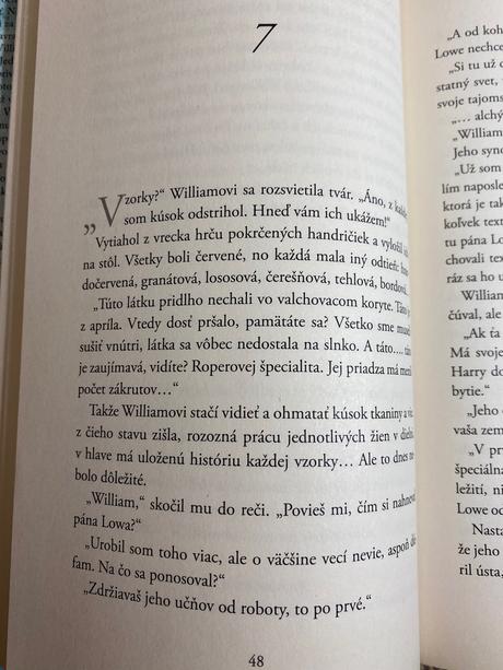 Bellman black mysteriózny román o minulosti,