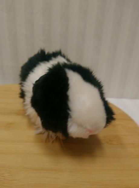 Plyšové čierno biele pišťajúce morča,