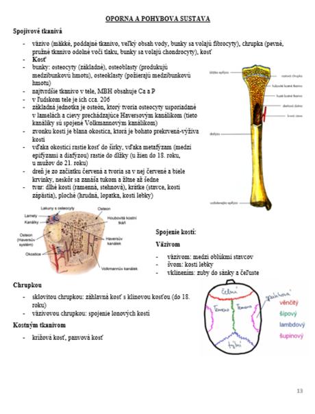 Poznámky na maturitu z biológie/prípravu na vš, 