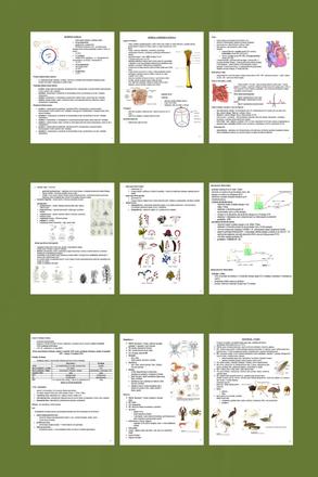 Poznámky na maturitu z biológie/prípravu na vš, 