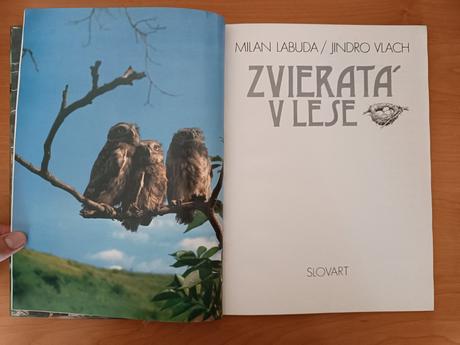 Zvieratá v lese (1990),