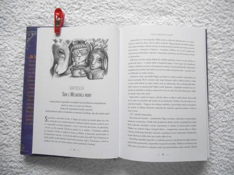 Kniha dievča ktoré spadlo pod čarokraj, 