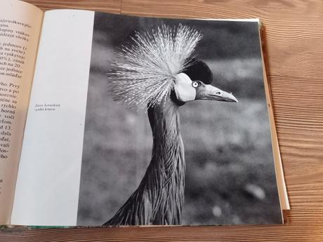 Naši priatelia zo zoo, 