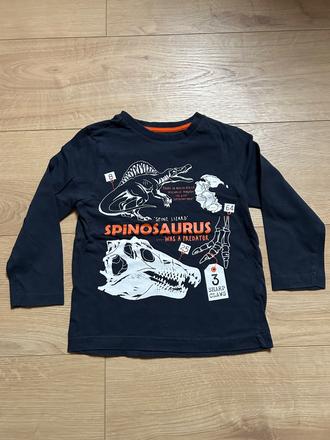 Tričko s dinosaurom -98/104, lupilu,98