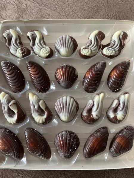 Morské plody čokoláda