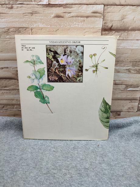 Ako sa rozmnožujú a rozširujú rastliny, 