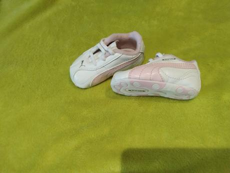 Capacky puma, puma,<17