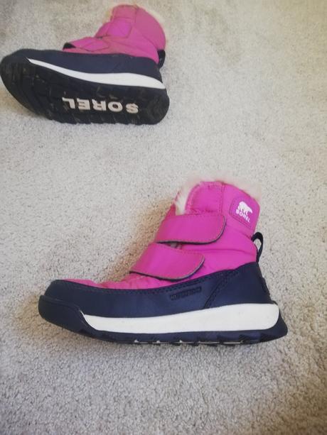 Snehule sorel, sorel,28