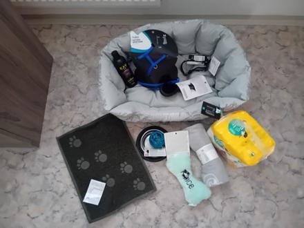 Nová sada pre psika,