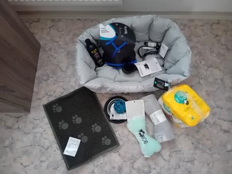 Nová sada pre psika,