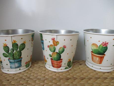 Plechové kvetináčiky kaktusové,