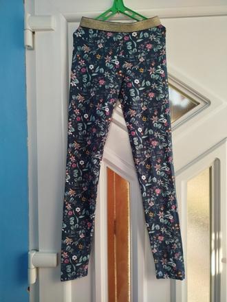 Legíny, coccodrillo,164