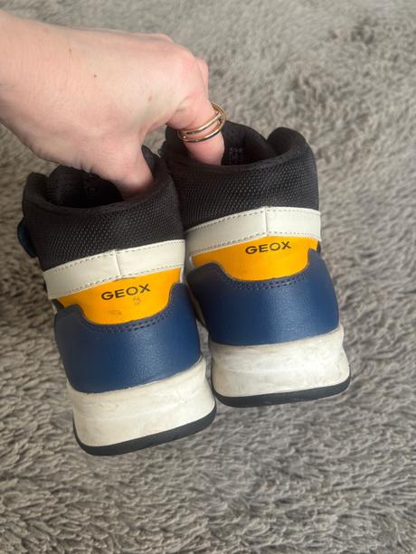 Geox v.38, geox,38