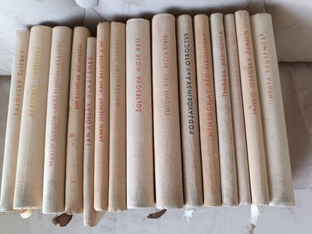 Hviezdoslavova knižnica, 