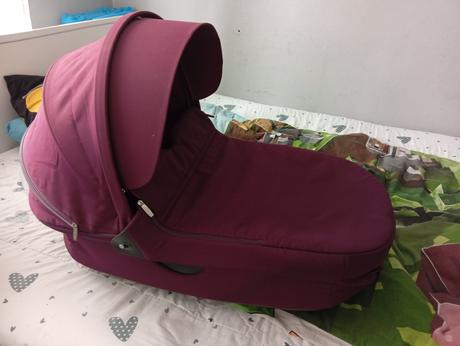 Kocik stokke crusi, stokke,stokke crusi