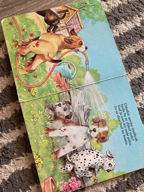 Veselé šteniatka a medvedík na prechádzke, 